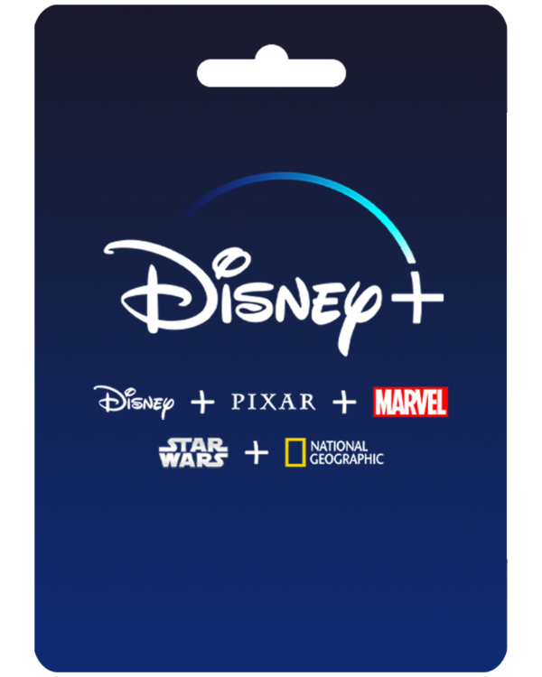 DISNEY STANDAR 1 PANTALLA 1 MES